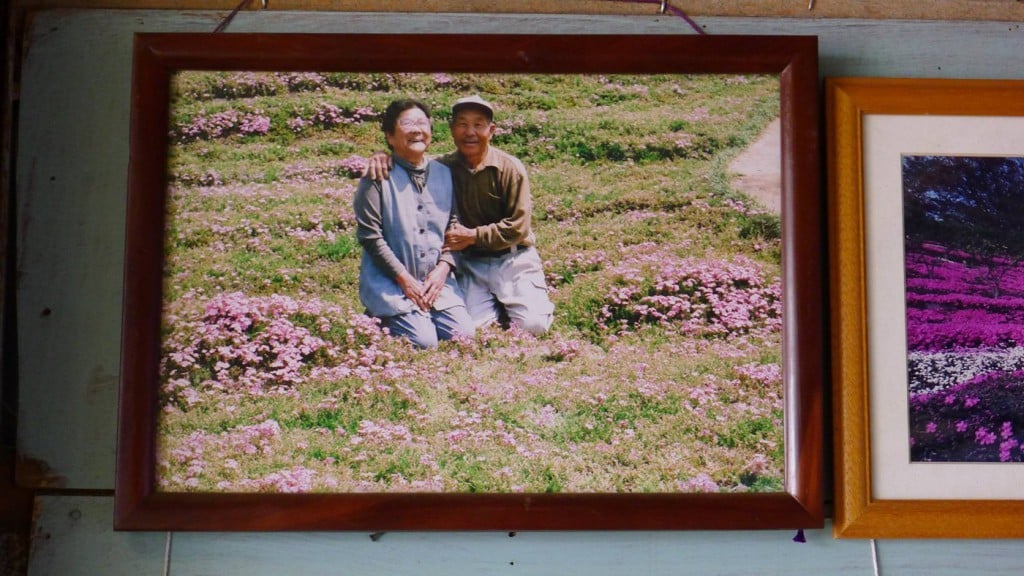 A Husband Spent Two Years Planting Thousands Of Flowers For His Blind Wife To Smell