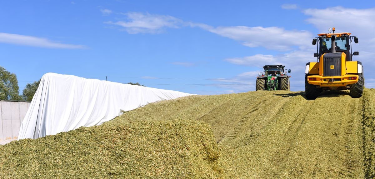 23 5 Milioane De Tone De Cereale Sunt Blocate în Ucraina Exportul