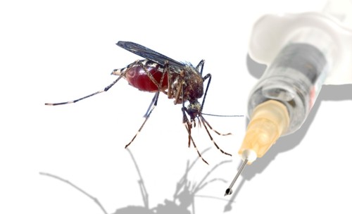 Insectele Ne Pot Vindeca De Cancer. Află Cum! | Libertatea