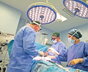 Premieră mondială. O echipă de chirurgi a transplantat un rinichi de la un animal la om