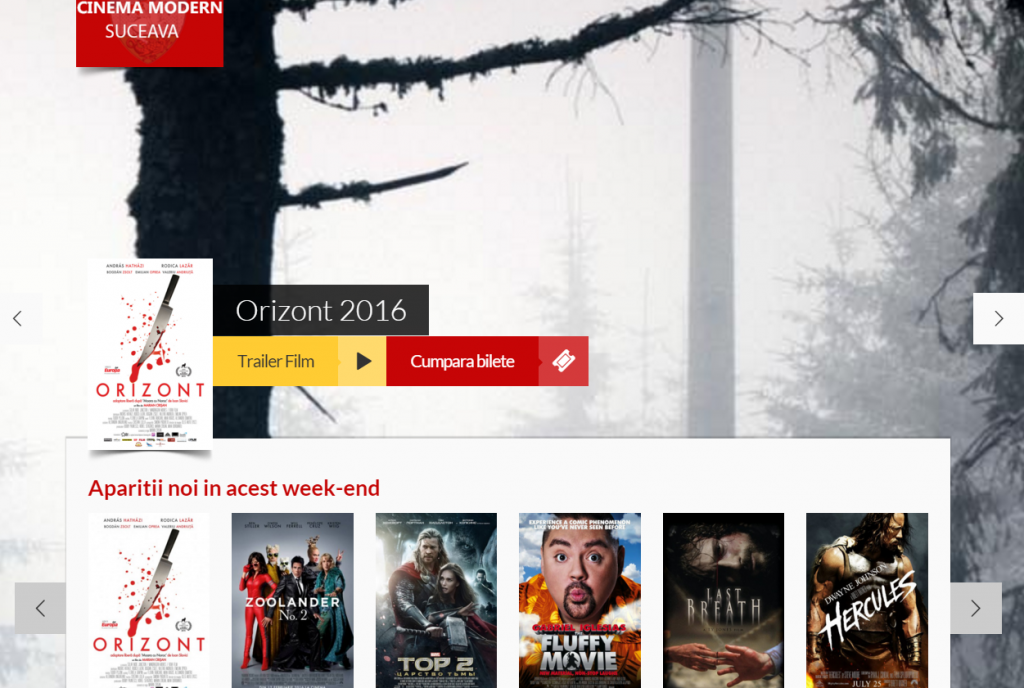 Așa arată site-ul făcut de un amator, cu doar 200 de euro