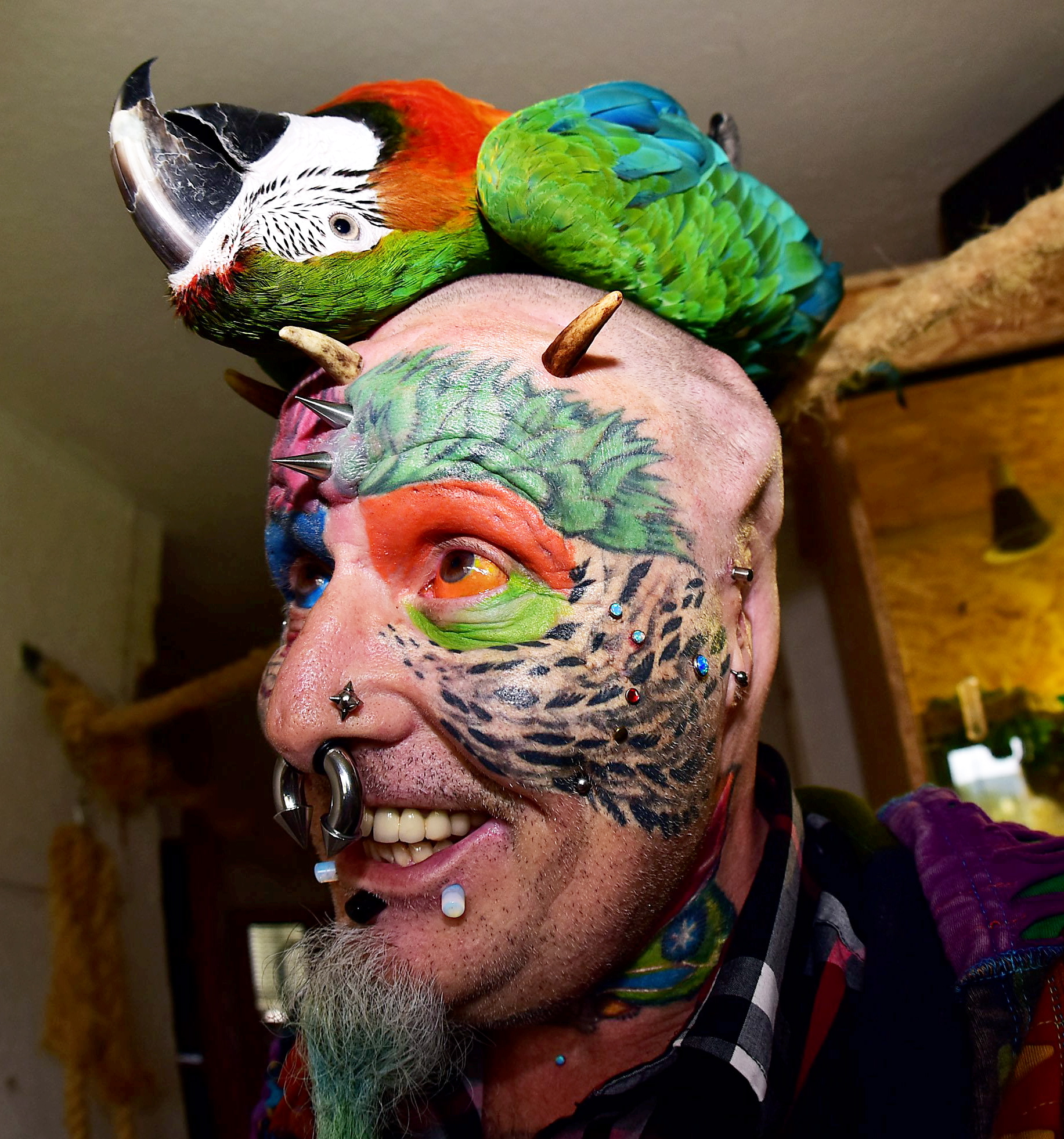 Bilderesultat for man who looks like a parrot