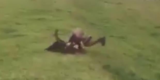 media_146029812255416200