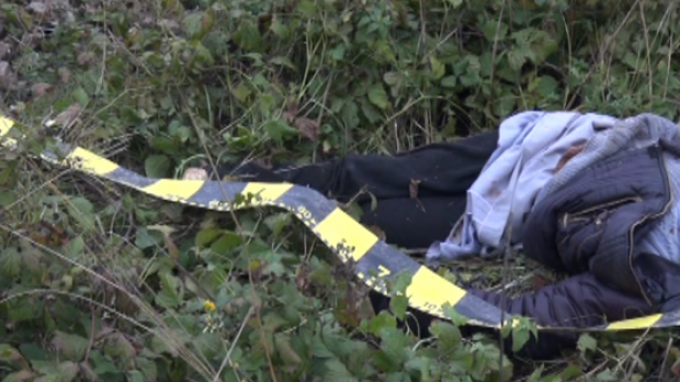 accident-spulberat_de_tren