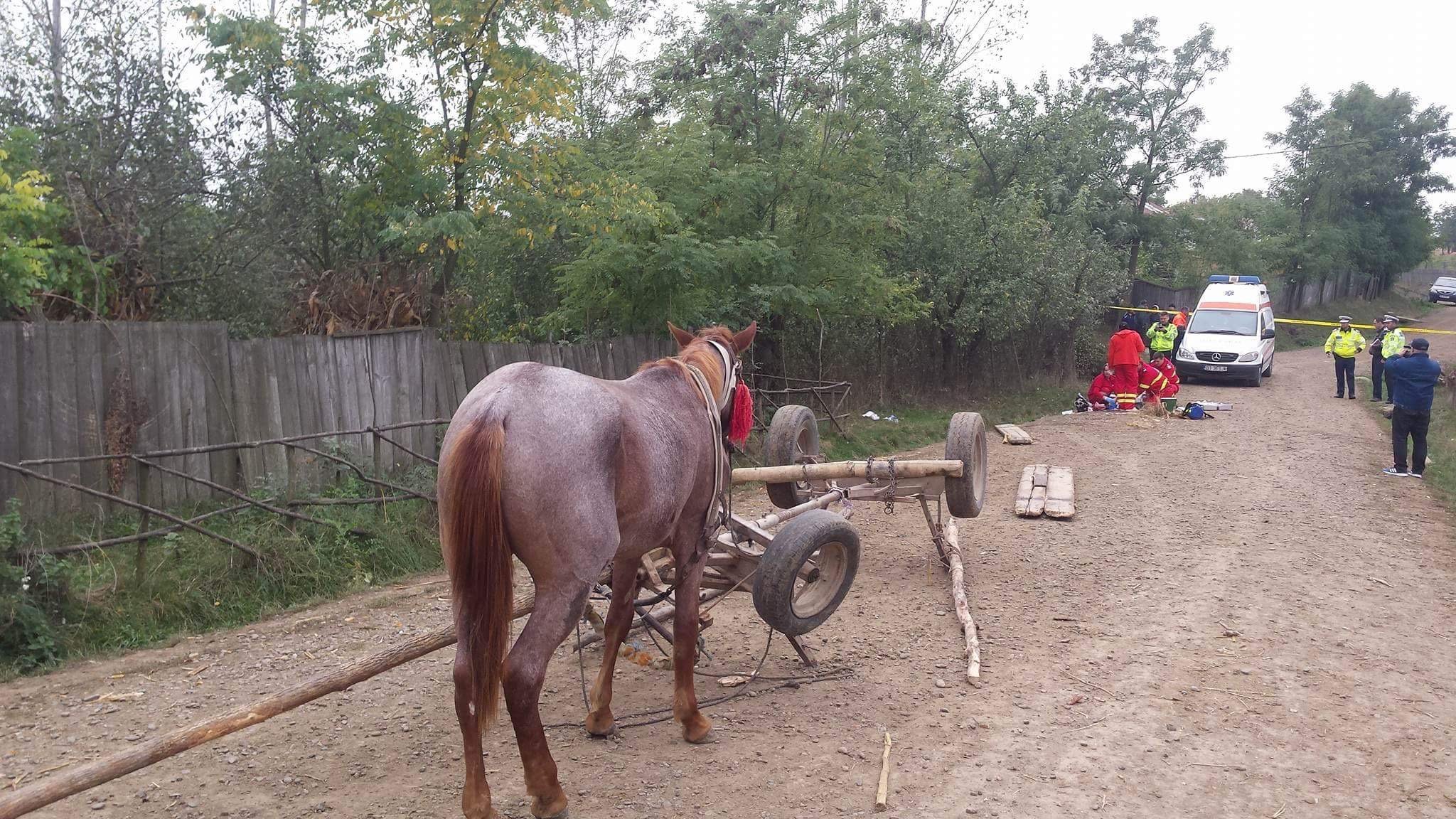 Accident Tragic Căruța In Care Se Aflau Doi Copii S A Răsturnat