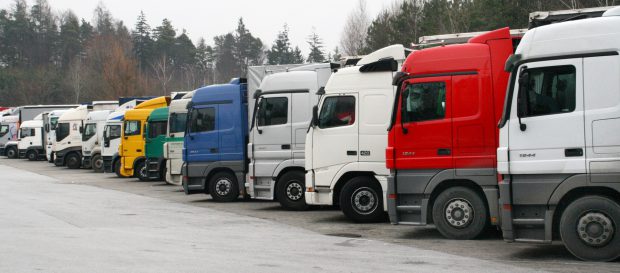 Camioane cu soia modificată genetic, reținute în Bihor, au plecat ilegal prin țară. „Bombe ecologice scăpate de sub control”