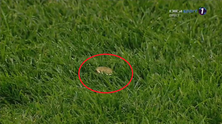 Liga I, etapa a 8-a, play-off: Dinamo - FCSB 2-1. Derby decis în minutul 96, din penalty! ”Cazul Bricheta”, nimica toată pe lângă bombardamentul de pe Arena Națională. Reghe, scandal cu arbitri | LIVE&VIDEO