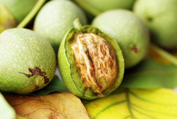 Nuci verzi – cum sa faci o dulceata ca a bunicii