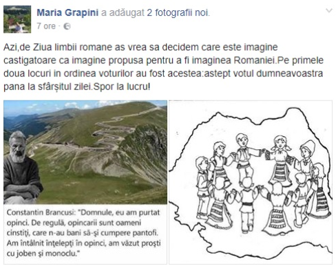 Gafa europarlamentarului Maria Grapini de Ziua Limbii Române