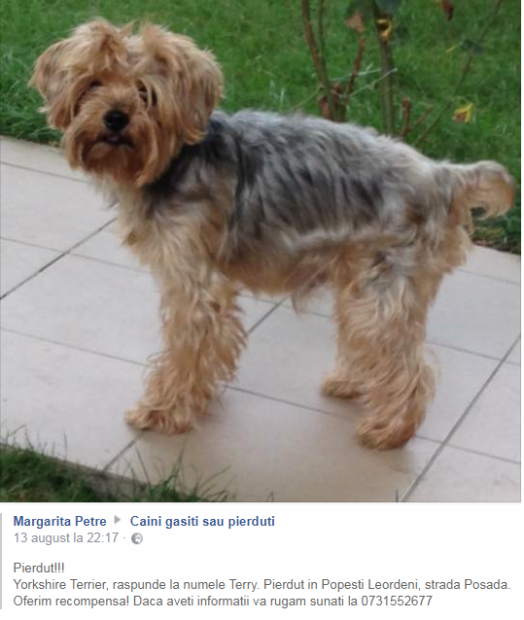 Pierdere imensă în familia lui Florentin Petre. ”Unde ești, mă, băiatule? Unde ai dispărut, te caut de trei zile”!