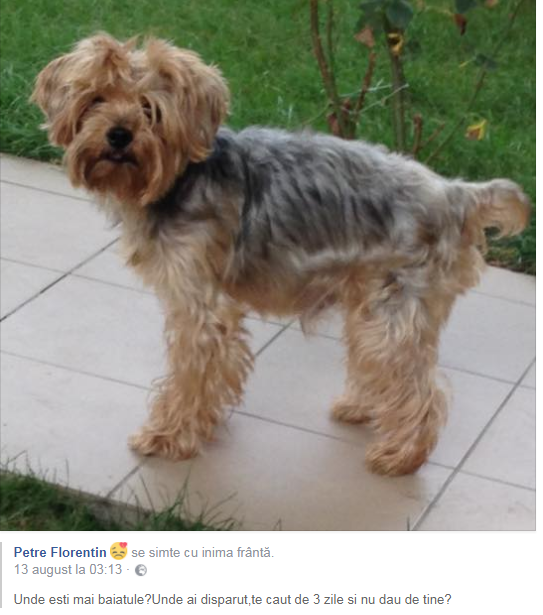 Pierdere imensă în familia lui Florentin Petre. ”Unde ești, mă, băiatule? Unde ai dispărut, te caut de trei zile”!