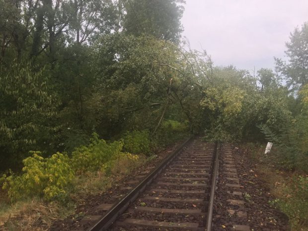 Accident feroviar la Bârlad. O femeie a murit după ce a fost lovită de tren, concubinul acesteia s-a salvat în ultima clipă
