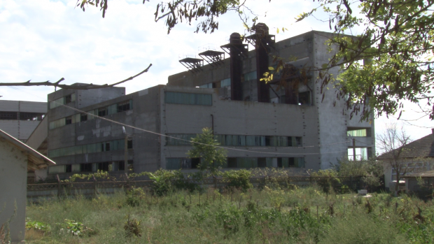 Vadu, cadoul adus de Dunăre pentru țara noastră: Cea mai scumpă plajă din România poate produce 4,71 milioane de dolari în opt ore / VIDEO