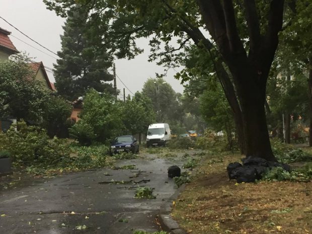 Alertă meteo: cod galben de vânt puternic în 18 județe. Harta zonelor afectate de vijelii