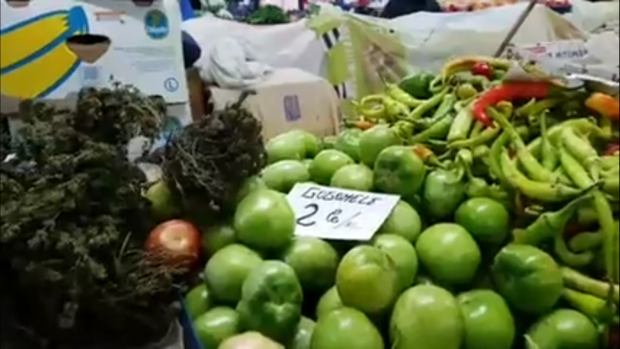 Ultima şansă a gospodinelor de a mai găsi în piaţă legume proaspete şi ieftine pentru murături. Cât costă gogonelele, gogoșarii și castraveții