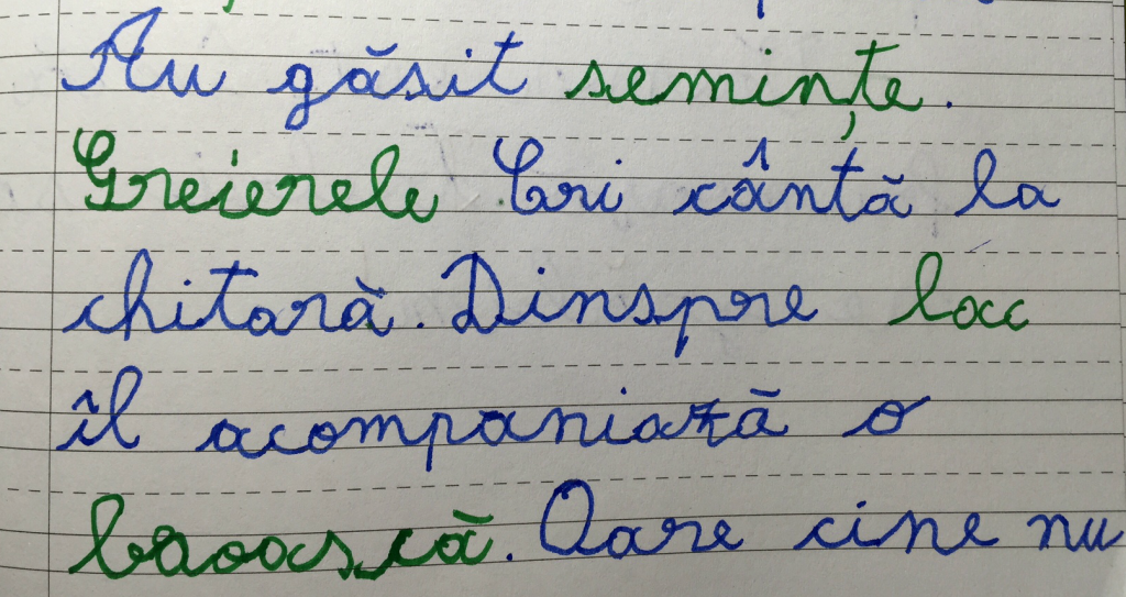 Fanii campioanei României au produs cel mai caraghios banner din Liga 1