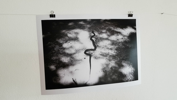 Spectaculoasa poveste de viață a unui fotograf care a lipsit din România 30 de ani. ”O fată mi-a ghicit viitorul în cărți de Tarot și exact așa a fost, you know...”