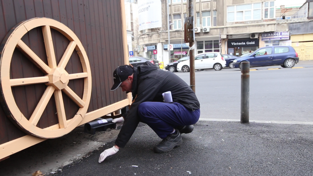 VIDEO | Un război prea mic pentru o invazie așa mare. Sunt șase șobolani la un locuitor în Capitală, dar se deratizează doar o cincime din oraș