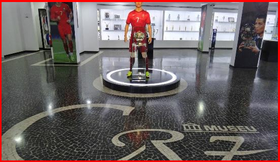 În ce își investesc banii marii sportivi ai lumii. Cristiano Ronaldo, mașini, avion, yacht, hotel. Simona Halep merge pe turism