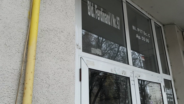 VIDEO | Un bloc a fost invadat de “șobolani migratori”. ”Erau așa mulți că îmi săreau pe umăr, apoi dispăreau prin găuri”