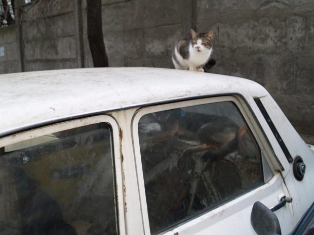 Aproape 1.000 de maşini abandonate au fost ridicate de pe străzi în sectorul 6