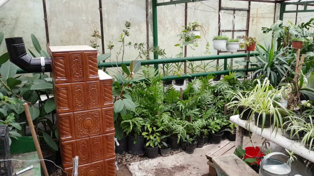 Sobă cumpărată de Mama Florilor pentru a încălzi plantele atunci când RADET opreşte căldura