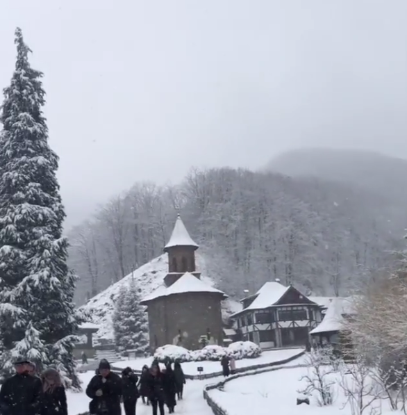 Anamaria Prodan se roagă la Arsenie Boca, în timp ce mama ei se află internată în spital. Imagini emoționante