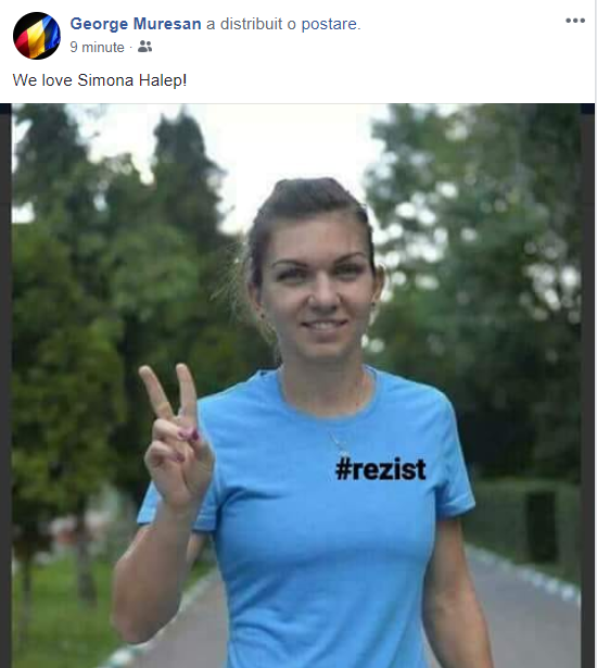 Simona Halep, folosită din nou în lupta politică. Imagine anti-Dragnea distribuită de Ghiță Mureșan