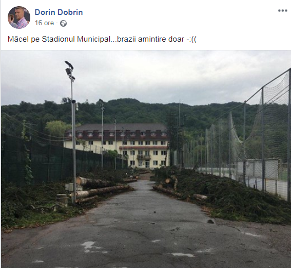 Brazi puși la pământ la stadionul ”Jean Pădureanu” din Bistrița. Cum arăta zona, cu o zi înaintea tăierilor / FOTO ÎN ARTICOL