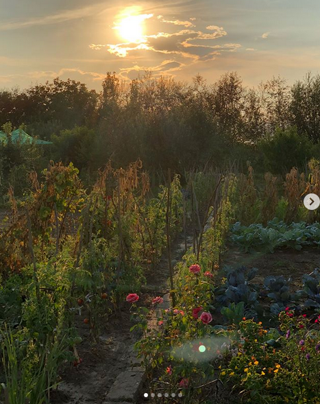 Laura Cosoi a împărtășit bucuria cu prietenii virtuali. “Strâng cu privirea fiecare detaliu“