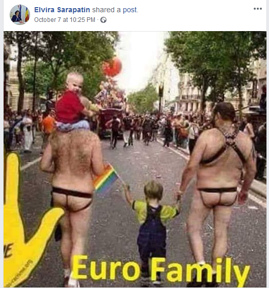 Se doreşte reluarea referendumului pentru familie, la alegerile europarlamentare din 2019. Ce propune o deputată PSD