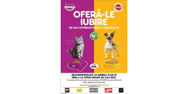 De Ziua Internațională a Animalelor, Pedigree sărbătorește alături de cățeii din adăposturi