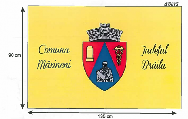 Un primar din România vrea să pună un meteorit pe stema comunei! Nu este singurul edil care face alegeri bizare „specifice localității”