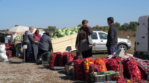 VIDEOREPORTAJ/ «Sigur Dragnea nu e heterosexual, se vede pe fizicul lui». În patima votului, în satele de lângă București