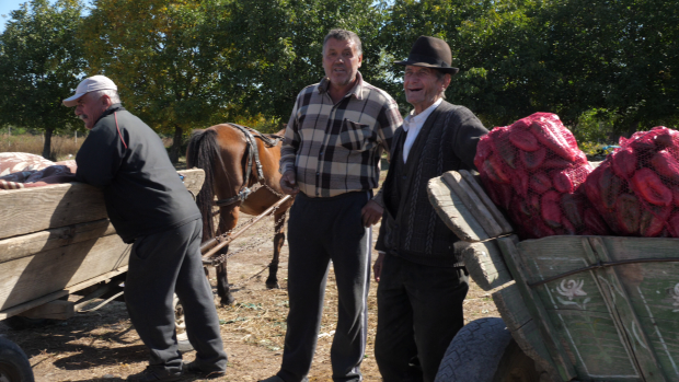 VIDEOREPORTAJ/ «Sigur Dragnea nu e heterosexual, se vede pe fizicul lui». În patima votului, în satele de lângă București