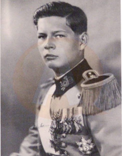 Regele Mihai