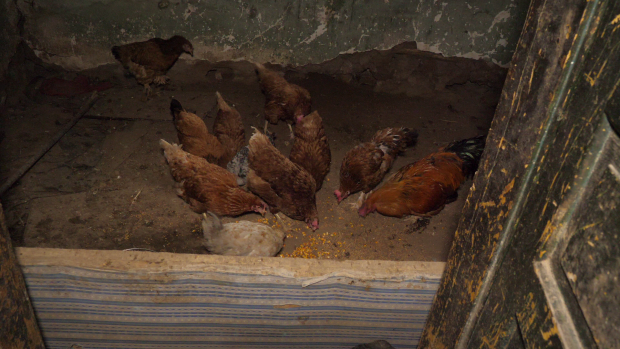 Centenar Solidar: Regatul lor pentru o plapumă. În Teleorman, am găsit familia care nu există pentru Protecția Socială! / VIDEO