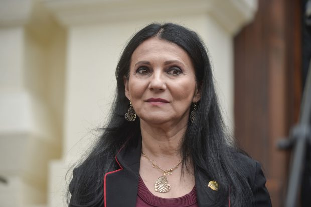 EXCLUSIV/ De ce se grăbește Guvernul Dăncilă să legalizeze canabisul medicinal? Participanții secreți de la discuții
