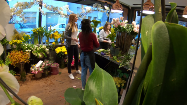 Joburi „de primăvară”. Cât câștigă un florar, un agronom și un inginer silvic