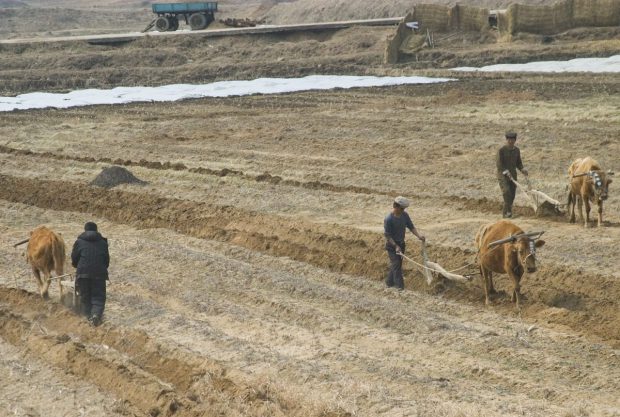 „Mi-am văzut vecinii murind de foame. Suntem blocați aici, așteptându-ne sfârșitul”. Dezvăluiri despre situația din Coreea de Nord, unde oamenii nu mai au ce mânca