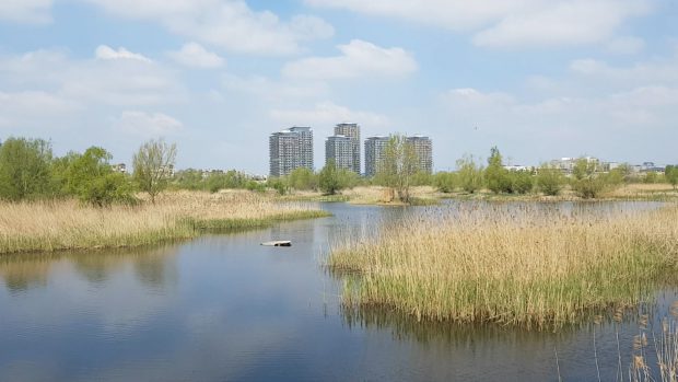 Se înființează Administrația Parcul Natural Văcărești, care se va ocupa de întreținerea parcului