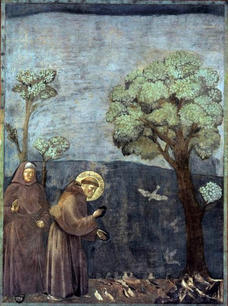 Sfântul Francisc de Assis, reprezentat în fresca pictorului italian Giotto
