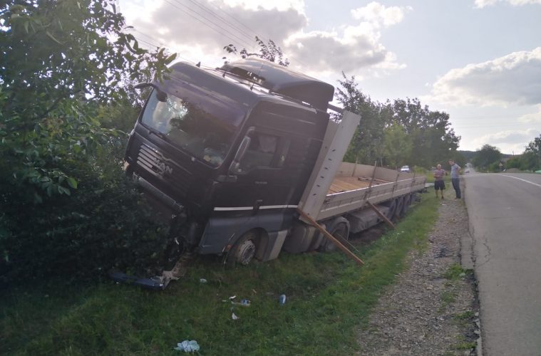 Un şofer de camion înţepat de o albină, la volan, era să-şi omoare copilul de 10 ani
