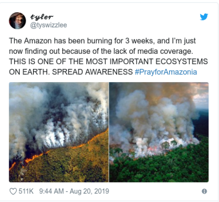 Furie în creștere împotriva guvernului Braziliei din cauza incendiilor din Amazonia