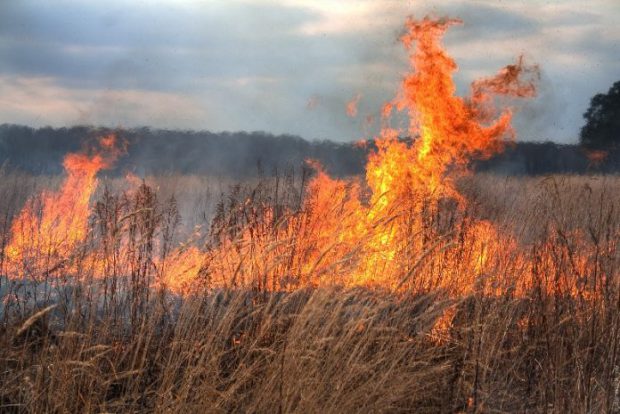 Incendiu de vegetație la ieșirea din Aiud către Teiuș. Un utilaj agricol a luat foc, iar flăcările s-au extins pe un hectar