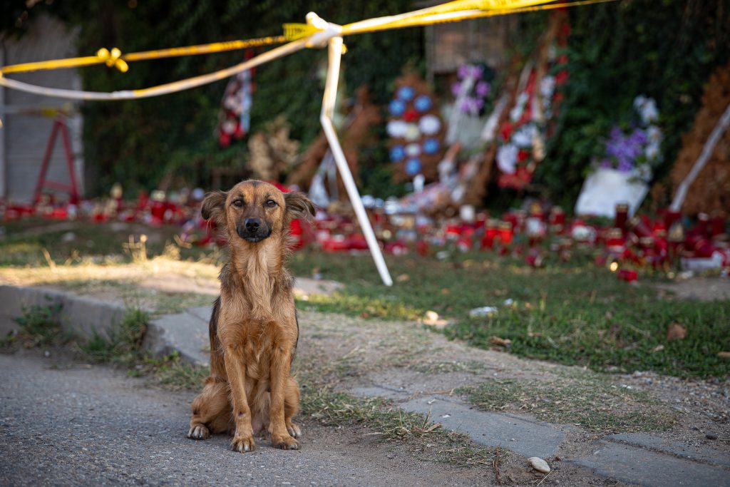 FOTOREPORTAJ | Trei luni după tragedia de la Caracal. Peste strigătul Alexandrei s-au așternut praful și pulberea din curtea casei ororilor lui Dincă