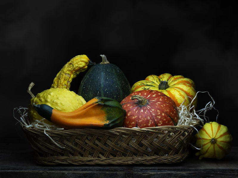 Cei mai frumoși dovleci