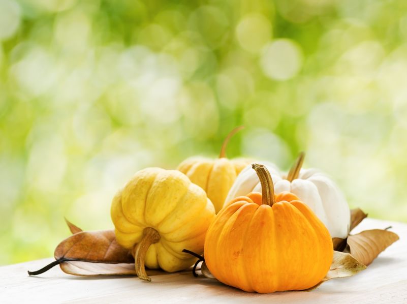 Dovleci de Halloween - dovleci ornamentali frumoși