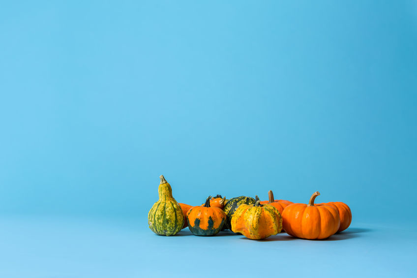 Dovleci de Halloween ornamentali