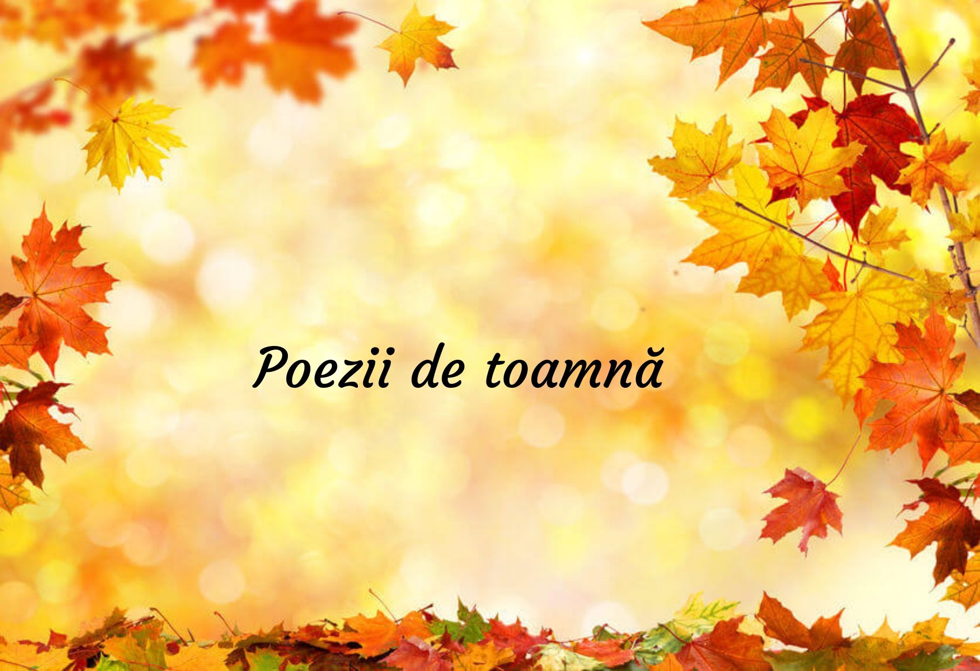 Poezii De Toamnă Cele Mai Frumoase Poezii De Citit In Această